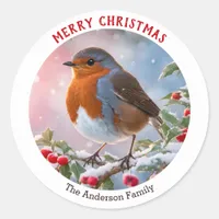 Winter Robin Redbreast Festive Merry Christmas Classic Round Sticker