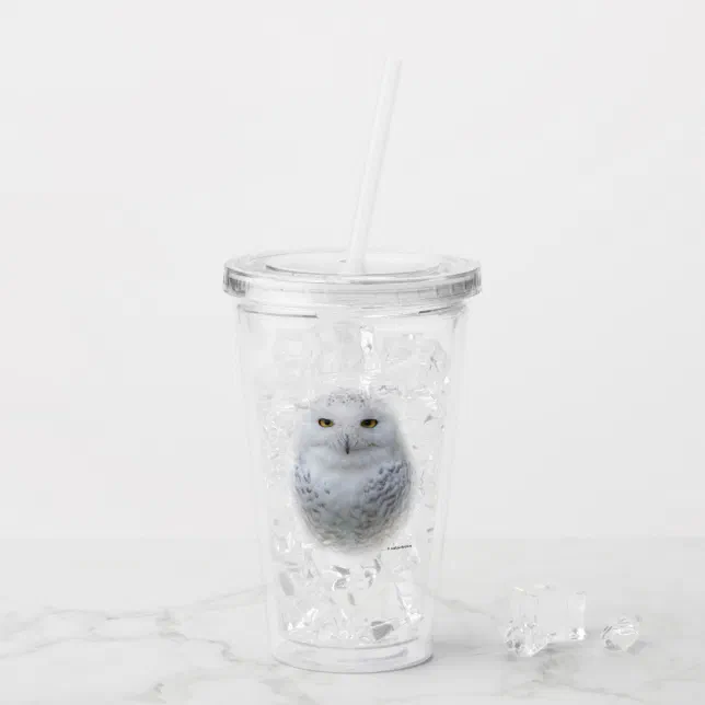 Beautiful, Dreamy and Serene Snowy Owl Acrylic Tumbler