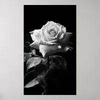 Long-stemmed white rose B&W photo Poster