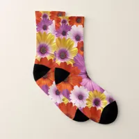 Colorful Medley of African Daisies Flowers Socks