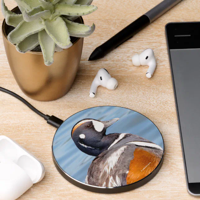 Beautiful Harlequin Duck at the Beach Wireless Charger