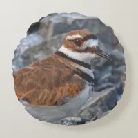 Closeup of a Killdeer Shorebird on the Rocks Round Pillow