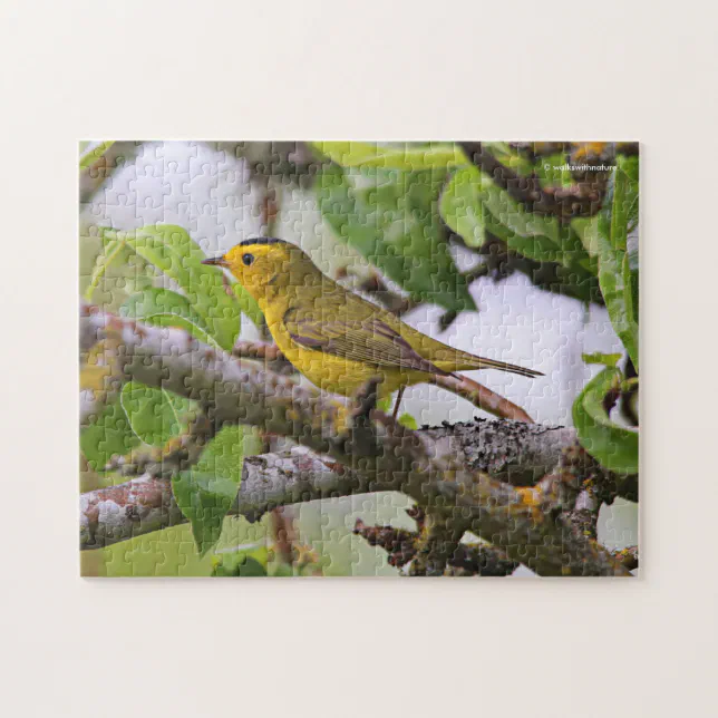 Wilson's Warbler in the Pear Tree Jigsaw Puzzle