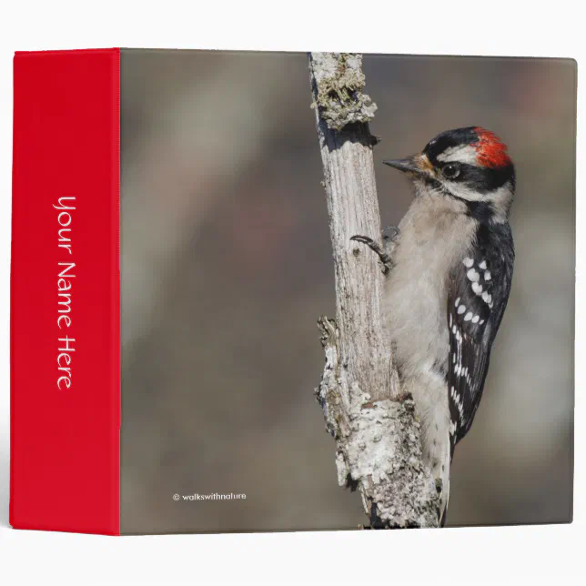 Cute Downy Woodpecker on the Tree Binder