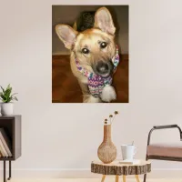 Cute Lovable German Shepherd Dog with Scarf Poster