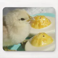 Chick and Deviled Eggs 2 Mouse Pad