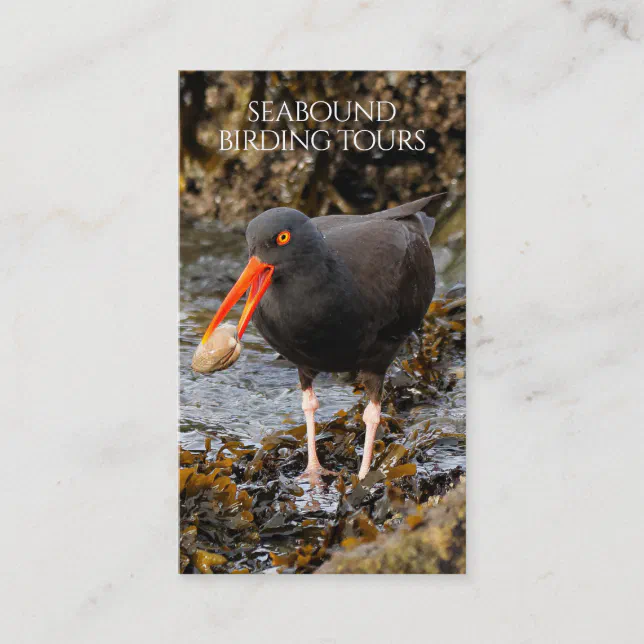 Oystercatcher Birdwatching / Nature Tours Business Card