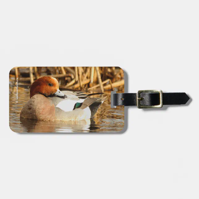 Handsome Stranger in Town Eurasian Wigeon Luggage Tag
