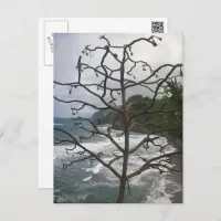 Hawaiian Ocean Beach Tree Photo View Postcard