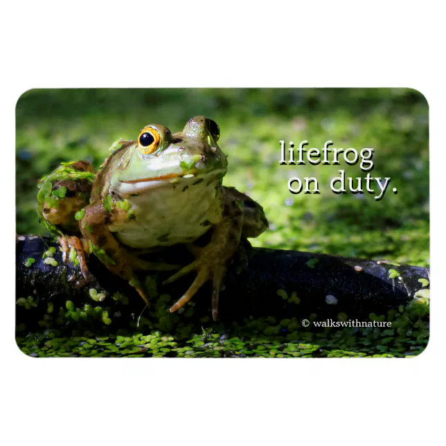 Cute Green Frog Strikes a Pose on the Hose Magnet