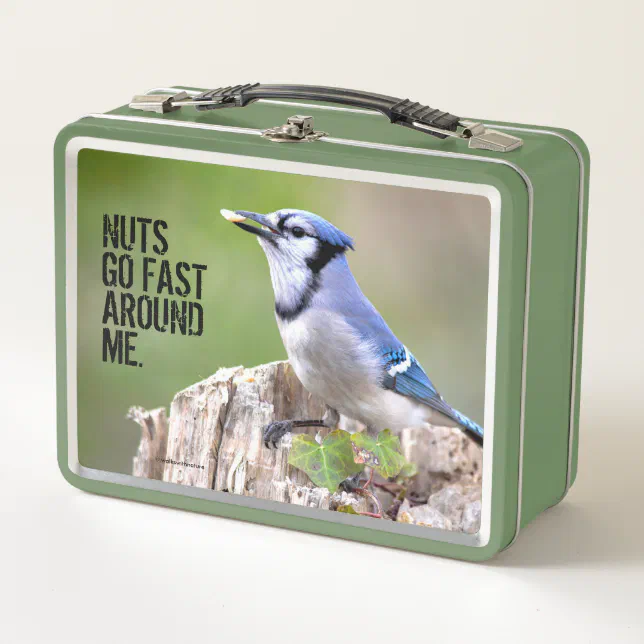 Cute Blue Jay Songbird on Treestump Metal Lunch Box