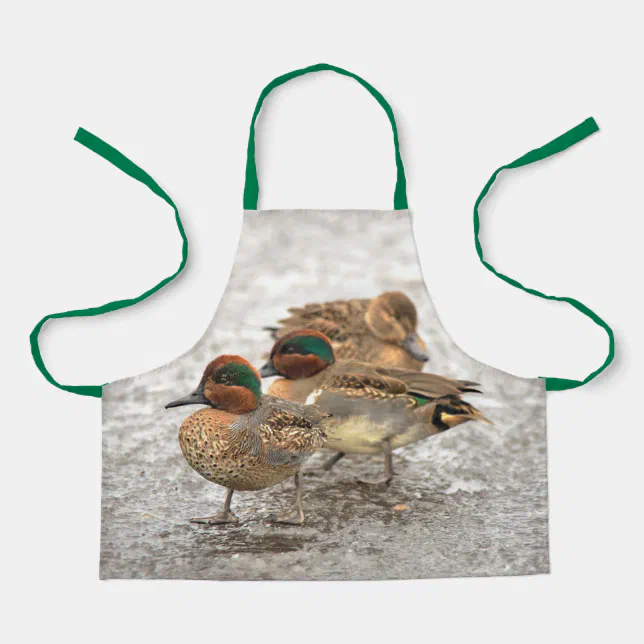 Cute Trio of Green-Winged Teals Ducks Apron