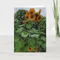 Feel Better, Sunflowers and Morning Glories  Card