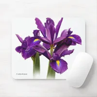 Elegant Dutch Iris Purple Sensation Flowers Mouse Pad