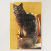 Puzzle - Black Cat and Yarn