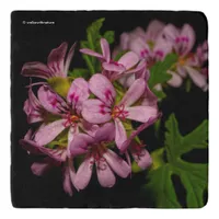 Elegant Citronella Flowers Trivet