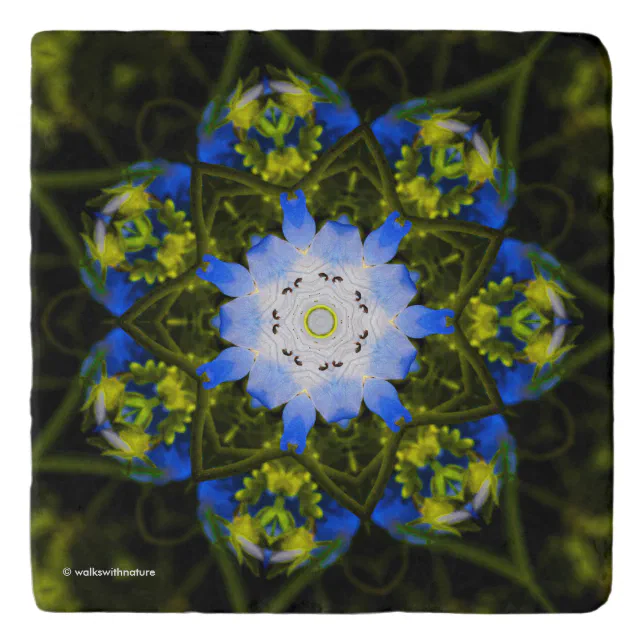 Kaleidoscopic Baby Blue Eyes Spring Flowers Trivet