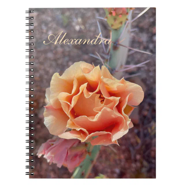 Pretty Peach Prickly Pear Flower Notebook