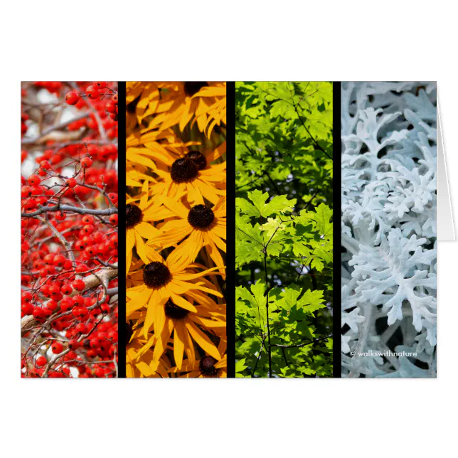 Colors of the Changing Seasons Quadriptych