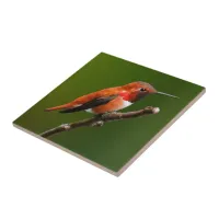 Stunning Rufous Hummingbird on the Cherry Tree Ceramic Tile