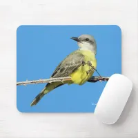 Stunning Tropical Kingbird on Blackberry Branch Mouse Pad