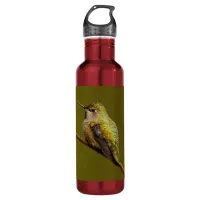 Anna's Hummingbird on a Branch Stainless Steel Water Bottle