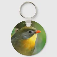 Colorful Leiothrix Pekin Robin Songbird Keychain