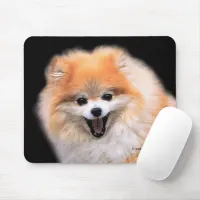 Cute Laughing Pomeranian Dog Mouse Pad
