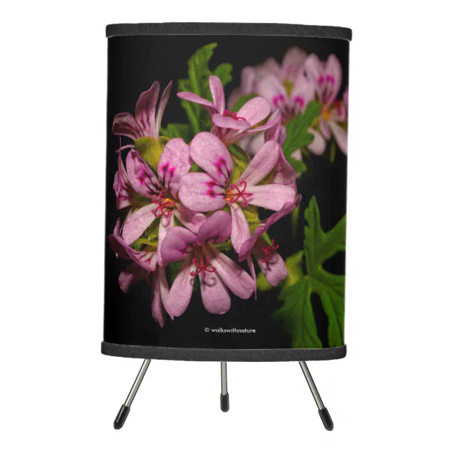 Citronella Flowers Tripod Lamp