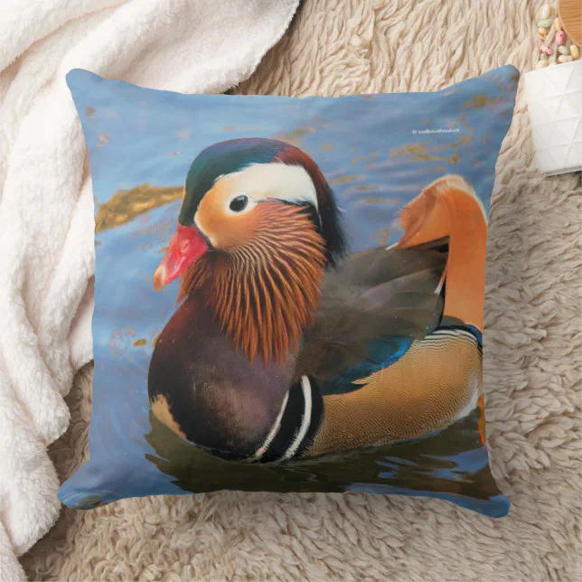 Beautiful Mandarin Duck in the Pond Throw Pillow