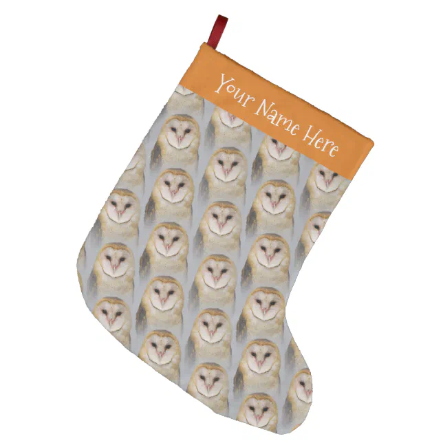 A Beautiful Serene Barn Owl Large Christmas Stocking