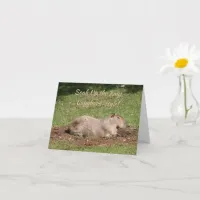 Soak Up the Rays, Capybara-style! Card