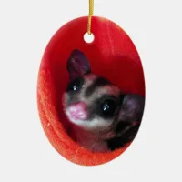 Sugar Glider in Orange Hanging Bed Ceramic Ornament