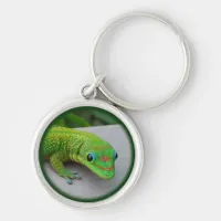 Gold Dust Day Gecko – Audition and Get Some Gecko Keychain