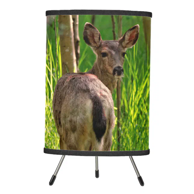 Stunning Black-Tailed Deer in the Forest Tripod Lamp
