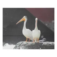 Two Pelicans Photograph Faux Canvas Print