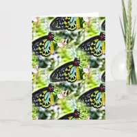 Butterflies Birthday Card