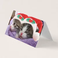 Two Kittens in Santa Hats Merry Christmas Card