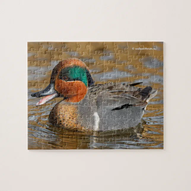 A Chatty Green-Winged Teal Duck at the Pond Jigsaw Puzzle