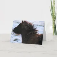 Mini Filly in Winter, Christmas Holiday Card