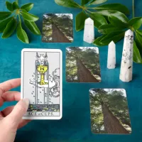 Giant Redwood Sequoia Treetop Tarot Deck