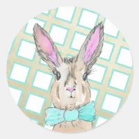 Cute Vintage Style Easter Bunny Rabbit Watercolor Classic Round Sticker