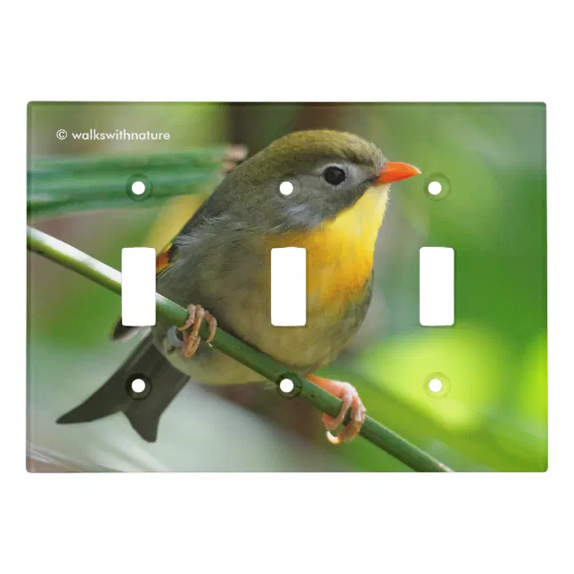 Colorful Leiothrix / Pekin Robin Songbird Light Switch Cover