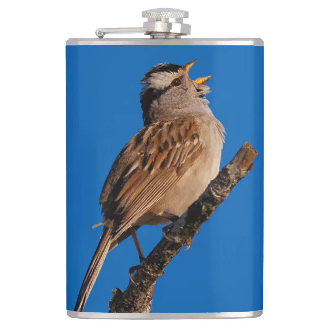 A White-Crowned Sparrow Sings to the Sun Hip Flask