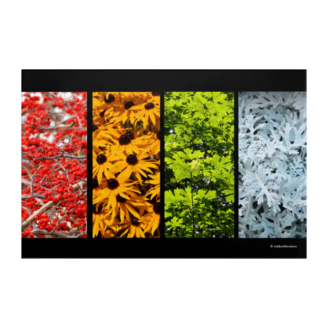 Colors of the Changing Seasons Quadriptych Acrylic Print