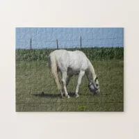 Pretty White Horse Jigsaw Puzzle