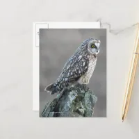 Short-Eared Owl in the Marsh Postcard