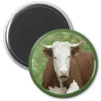 Cow in the Grass Cameo Magnet