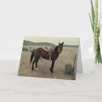 Vintage Saddled Horse Card