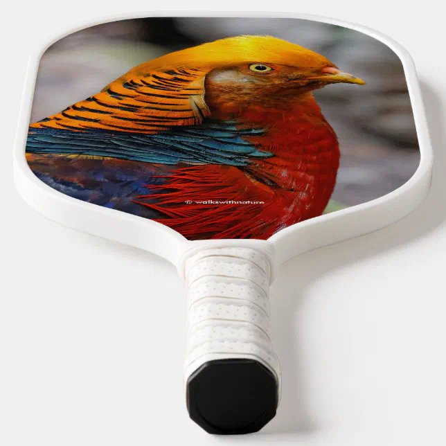 Stunning Profile of a Red Golden Pheasant Gamebird Pickleball Paddle